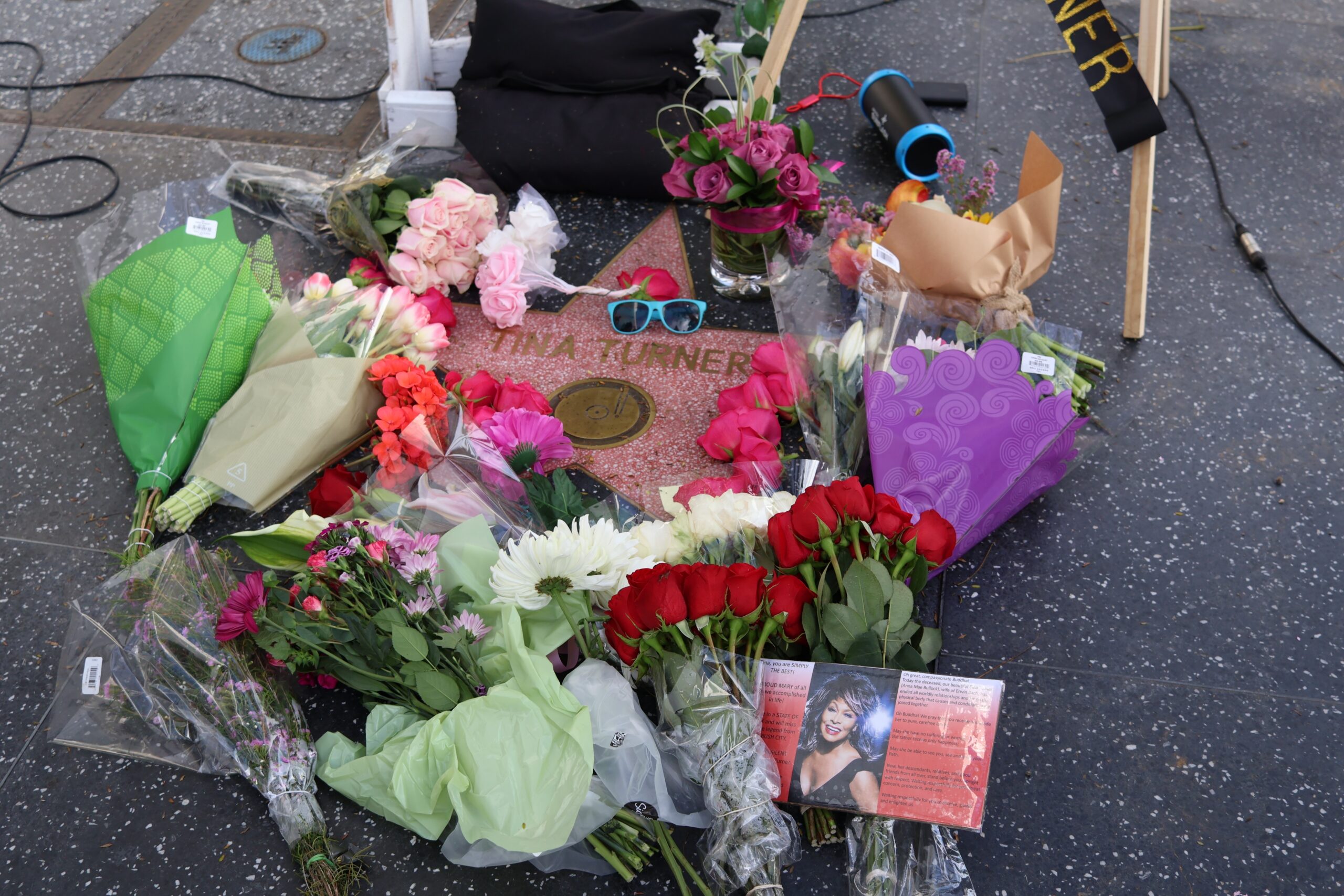 Los,Angeles,,California,,United,States,,May,24,,2023.,Tina,Turner's Tina Turner flowers